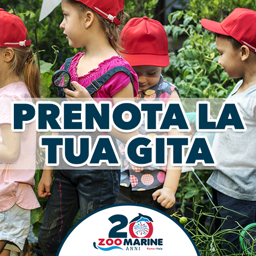 Modulo Prenotazione Gita Scolastica Zoomarine Giardino Zoologico Roma Scuola